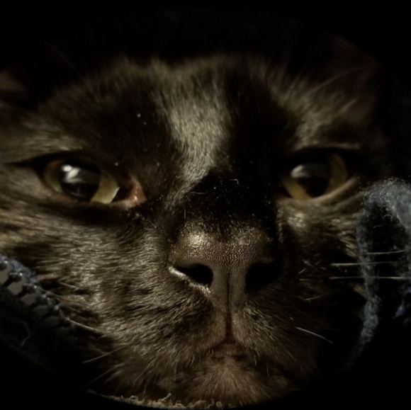 Meet your Posher, Yvonne - Picture 1 of 1